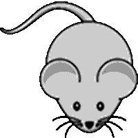 EdlineHalfhpall